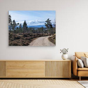 Loch Morlich Path - Canvas print from original photograph - Cairngorm Artists