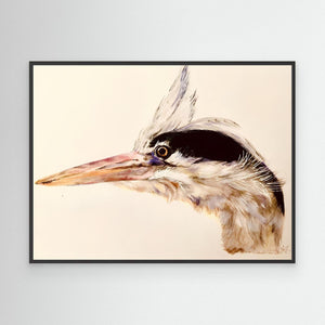 Long-Beaked Look- canvas print from original artwork - Cairngorm Artists
