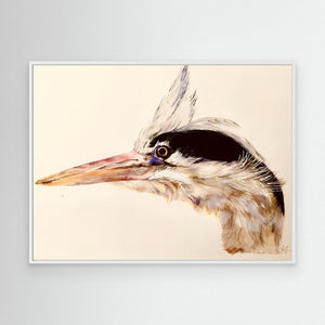 Long-Beaked Look- canvas print from original artwork - Cairngorm Artists