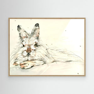 Long‑Eared Rest - canvas print from original artwork - Cairngorm Artists