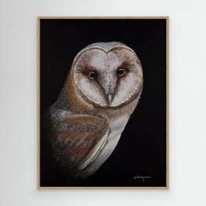 Barn Owl Portrait - Canvas print from original artwork