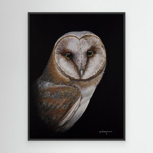 Barn Owl Portrait - Canvas print from original artwork