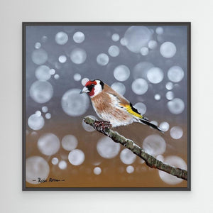 Goldfinch Glow - canvas print from original acrylic painting