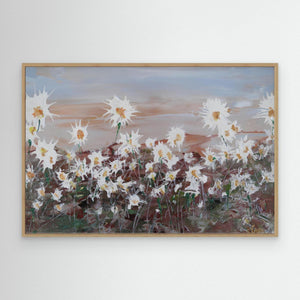 Oxeye Daisies - canvas print from original artwork - Cairngorm Artists
