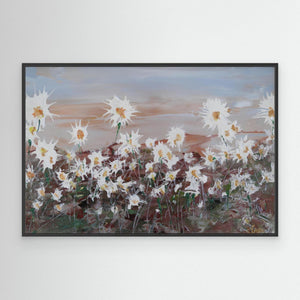 Oxeye Daisies - canvas print from original artwork - Cairngorm Artists