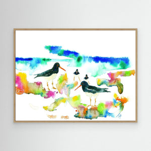 Oystercatcher beach - Canvas print from original artwork - Cairngorm Artists