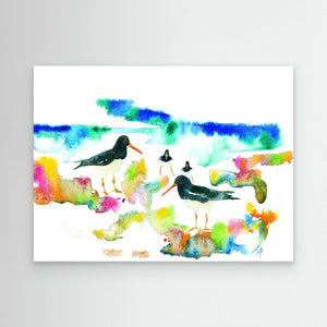 Oystercatcher beach - Canvas print from original artwork - Cairngorm Artists