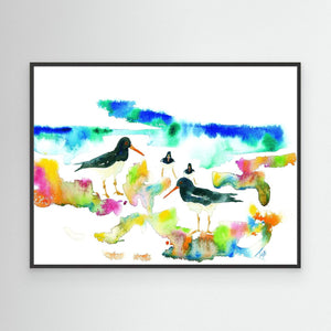 Oystercatcher beach - Canvas print from original artwork - Cairngorm Artists