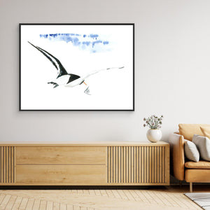 Oystercatcher - canvas print from original artwork - Cairngorm Artists