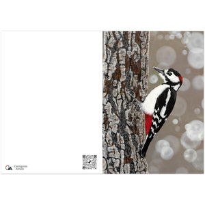 Pack of 10 Greeting Cards , Great Spotted Woodpecker - Cairngorm Artists