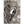 Pack of 10 Greeting Cards , Great Spotted Woodpecker - Cairngorm Artists