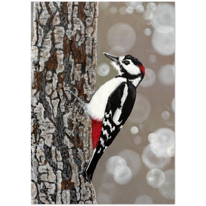 Pack of 10 Greeting Cards , Great Spotted Woodpecker - Cairngorm Artists