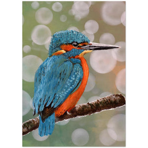 Pack of 10 Greeting Cards , Kingfisher design - Cairngorm Artists