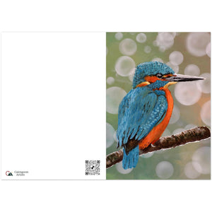 Pack of 10 Greeting Cards , Kingfisher design - Cairngorm Artists