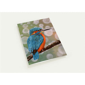 Pack of 10 Greeting Cards , Kingfisher design - Cairngorm Artists