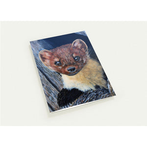 Pack of 10 Greeting Cards , "Pee a Boo Pine Marten" - Cairngorm Artists