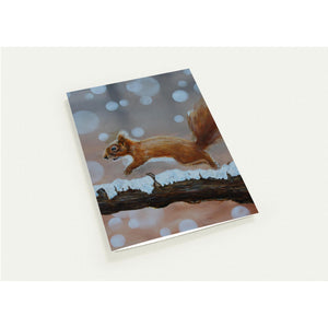 Pack of 10 Greeting Cards , "Red Squirrel Leap" - Cairngorm Artists