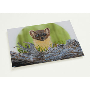 Pack of 10 Post Cards - Pine Marten Over Log - Cairngorm Artists