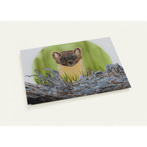 Pack of 10 Post Cards - Pine Marten Over Log - Cairngorm Artists