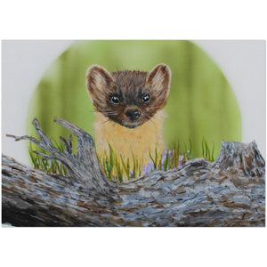 Pack of 10 Post Cards - Pine Marten Over Log - Cairngorm Artists