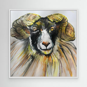 Ram Portrait - canvas print from original artwork - Cairngorm Artists
