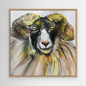 Ram Portrait - canvas print from original artwork - Cairngorm Artists