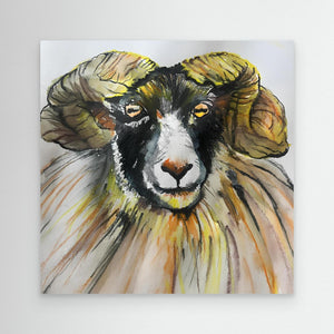 Ram Portrait - canvas print from original artwork - Cairngorm Artists