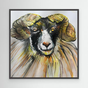 Ram Portrait - canvas print from original artwork - Cairngorm Artists