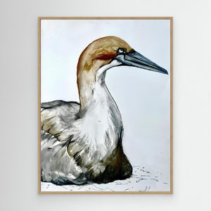 Resting Gannet - canvas print from original artwork - Cairngorm Artists