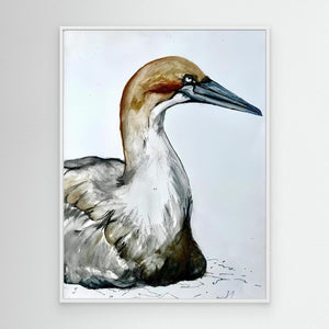 Resting Gannet - canvas print from original artwork - Cairngorm Artists