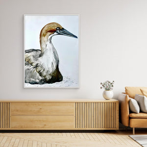 Resting Gannet - canvas print from original artwork - Cairngorm Artists