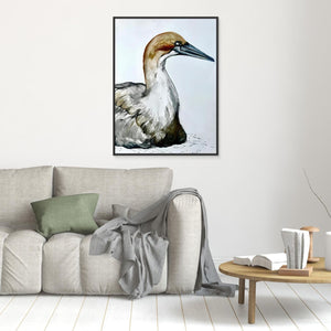Resting Gannet - canvas print from original artwork - Cairngorm Artists