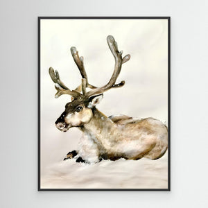 Resting Reindeer - canvas print from original artwork - Cairngorm Artists
