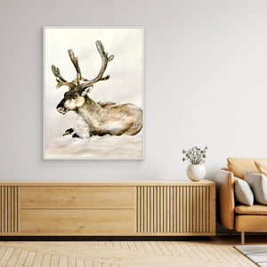 Resting Reindeer - canvas print from original artwork - Cairngorm Artists