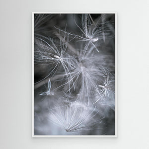 Secrets of the Forest - canvas print from original photograph - Cairngorm Artists