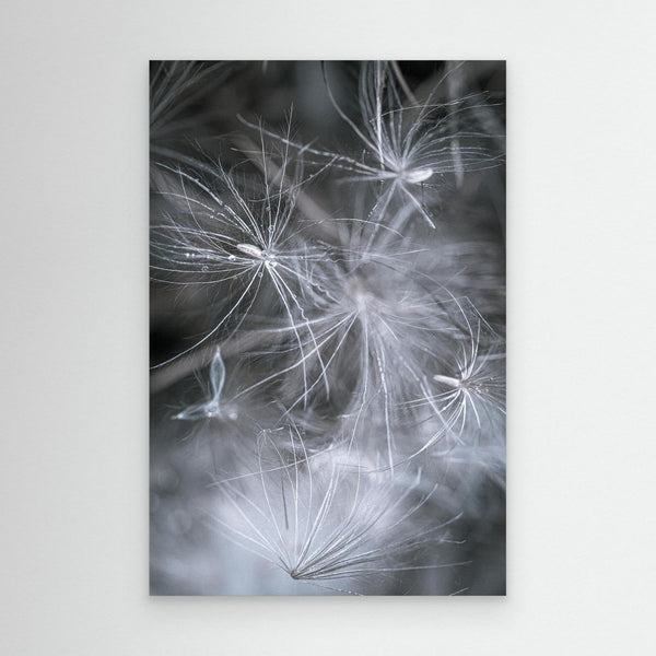 Secrets of the Forest - canvas print from original photograph - Cairngorm Artists