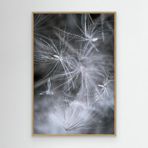 Secrets of the Forest - canvas print from original photograph - Cairngorm Artists