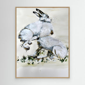 Snowy Hare Playtime - canvas print from original artwork - Cairngorm Artists
