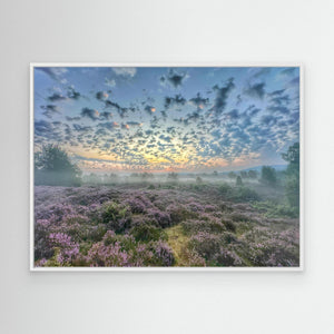 Soft Morning Over Heather on Tulloch Moor - canvas print from original photograph - Cairngorm Artists