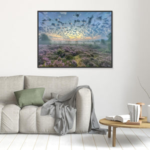 Soft Morning Over Heather on Tulloch Moor - canvas print from original photograph - Cairngorm Artists