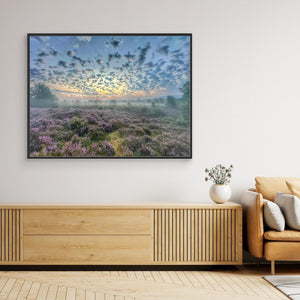 Soft Morning Over Heather on Tulloch Moor - canvas print from original photograph - Cairngorm Artists