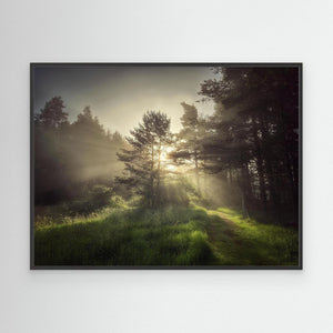 Straanruie Pathway - canvas print from original photograph - Cairngorm Artists