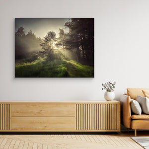 Straanruie Pathway - canvas print from original photograph - Cairngorm Artists
