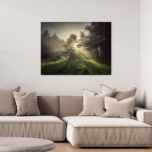 Straanruie Pathway - canvas print from original photograph - Cairngorm Artists