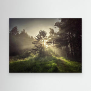 Straanruie Pathway - canvas print from original photograph - Cairngorm Artists
