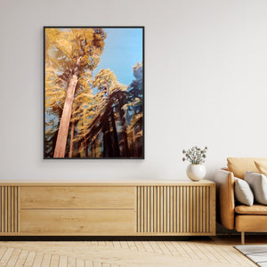 Sunlight in Anagach Woods - canvas print from original artwork - Cairngorm Artists