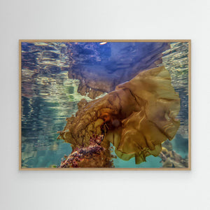The Kelp Queen - canvas print from original photograph - Cairngorm Artists