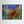 The Kelp Queen - canvas print from original photograph - Cairngorm Artists