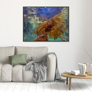 The Kelp Queen - canvas print from original photograph - Cairngorm Artists
