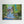 The Old Mill - Canvas print from original artwork - Cairngorm Artists